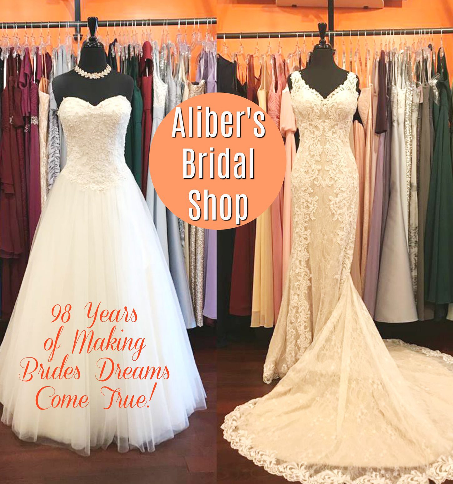 wedding dresses in Aliber's