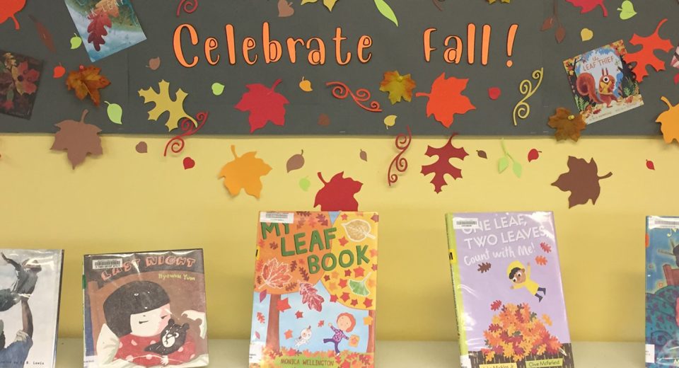 Greenfield Public Library bookshelves