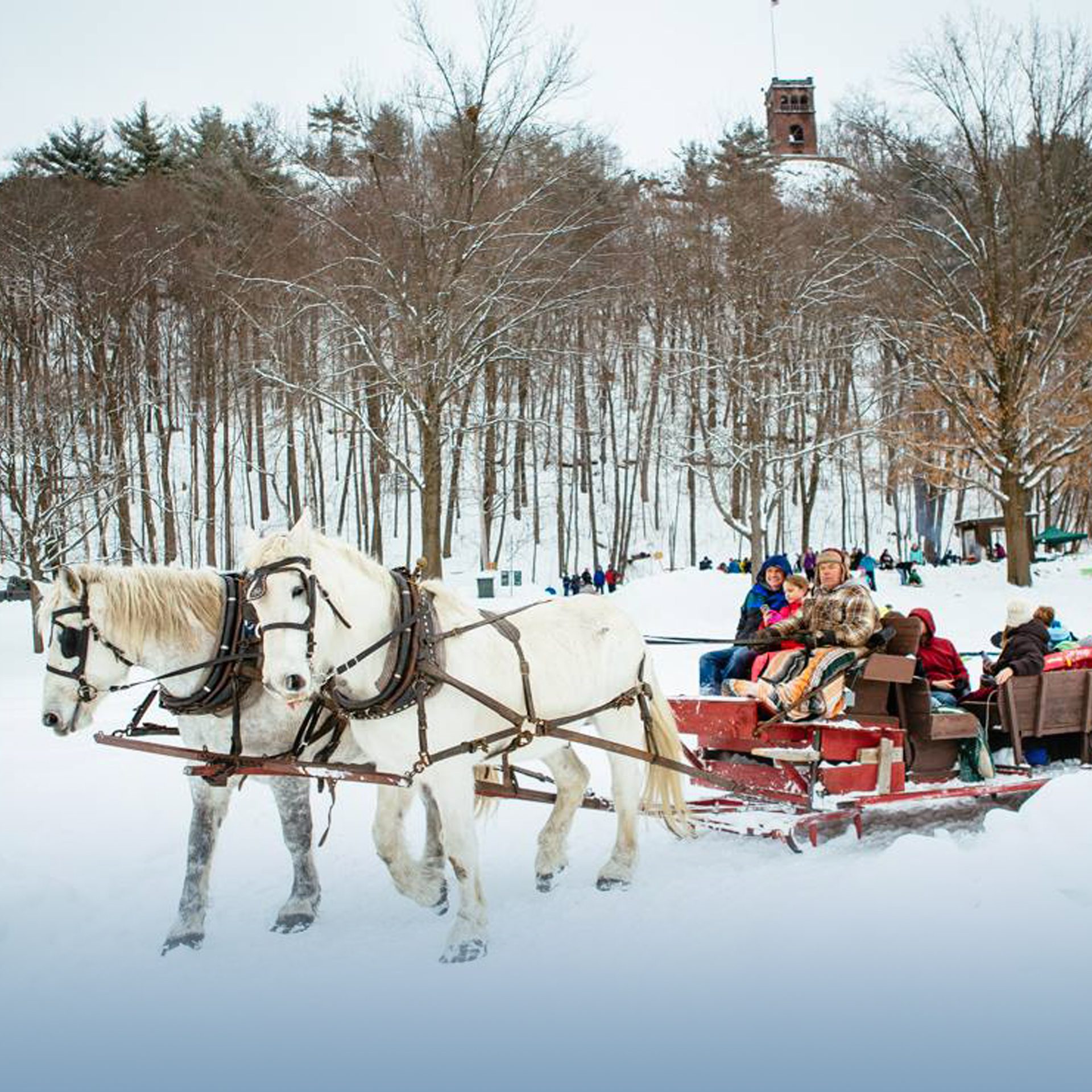 horse-drawn sleigh at Greenfield's Winter Carnival