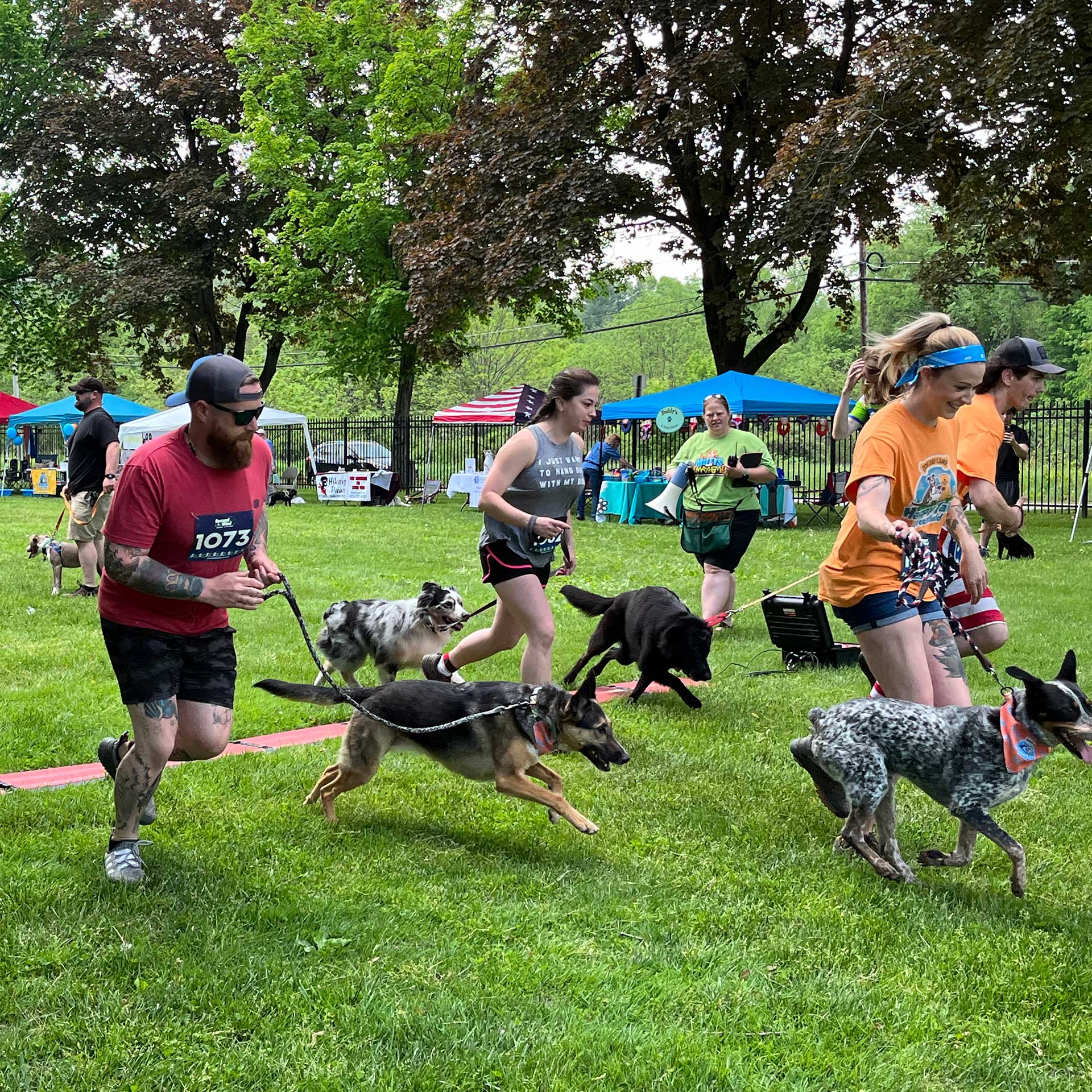 dogs competing at Mutts & Mayhem event