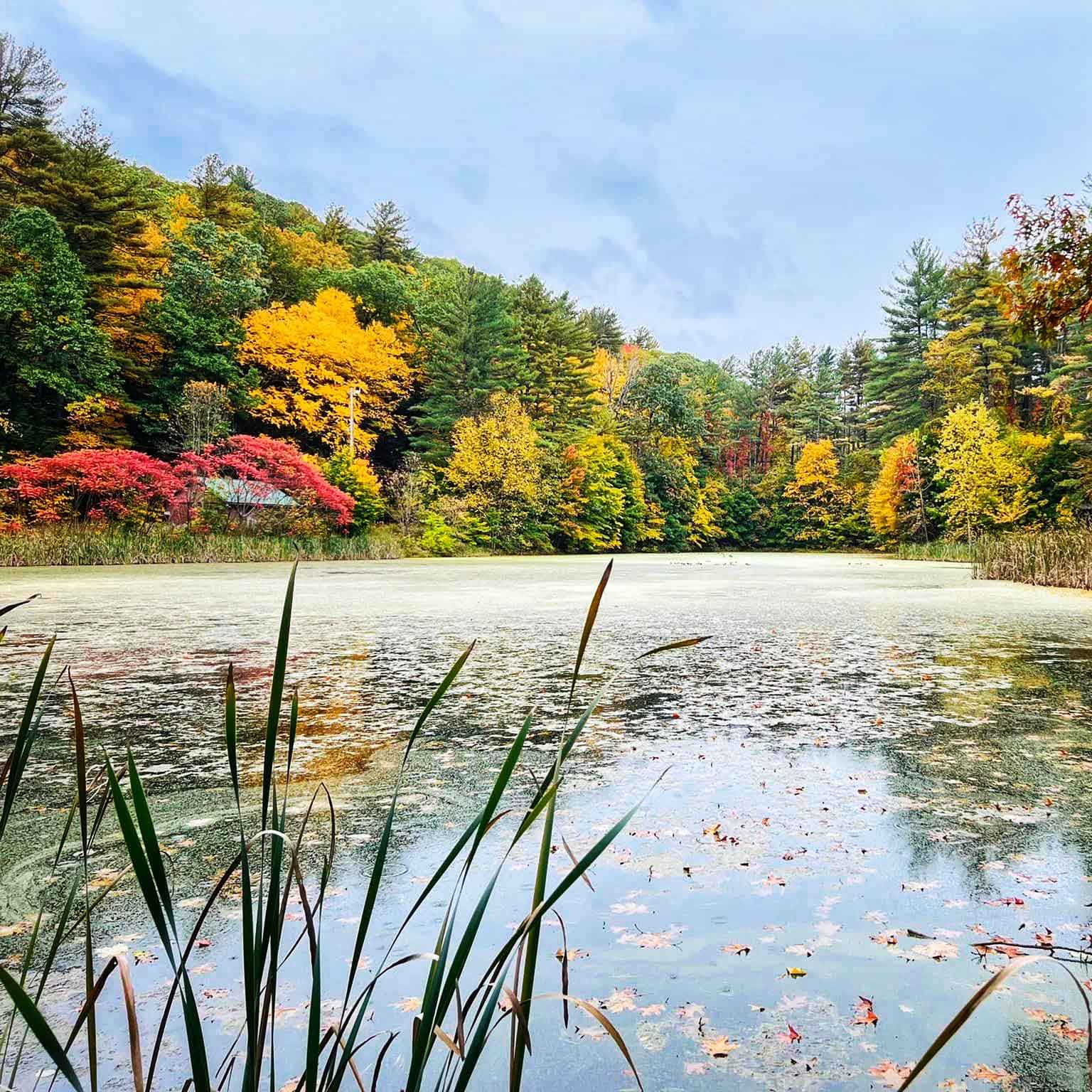 Highland Pond with fall foliage