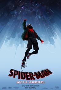 SpiderMan_Into_the_SpiderVerse358