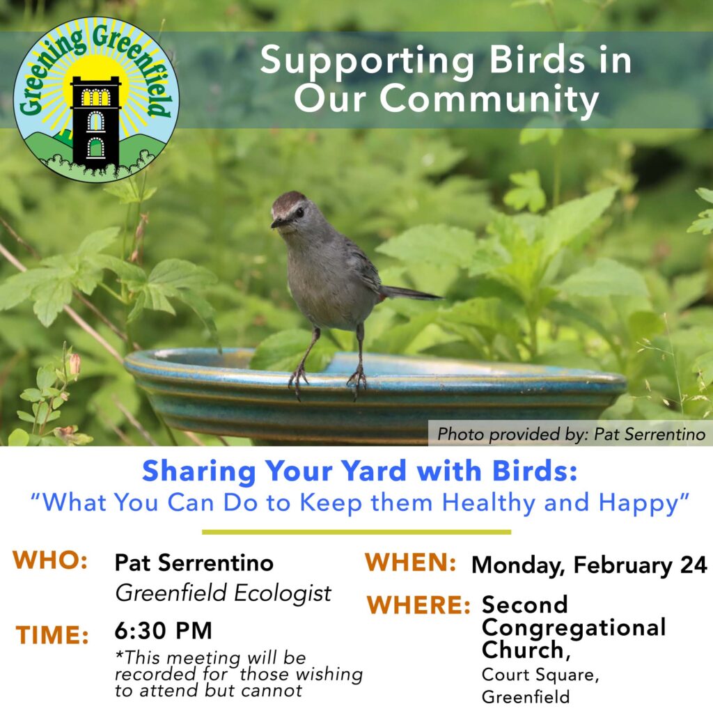 GG- Bird Talk with Pat Serrentino GG- Bird Talk with Pat Serrentino